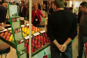 MTAS / FruitPro 2016