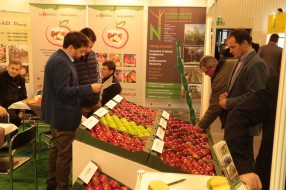 MTAS / FruitPro 2016