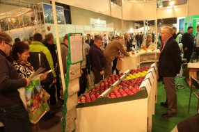 MTAS / FruitPro 2016