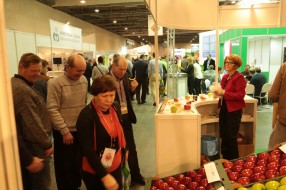 MTAS / FruitPro 2016