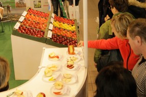 AJAPPLE na MTAS / FruitPro 2017